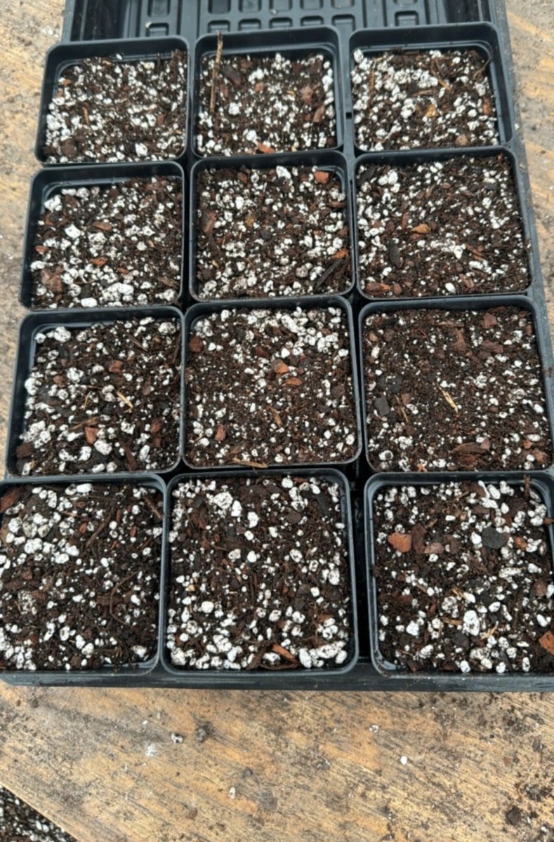 1.5 gallons of Nice Plants Chunky Anthurium & Aroid Soil Mix (Free Shipping) - Nice Plants Good Pots