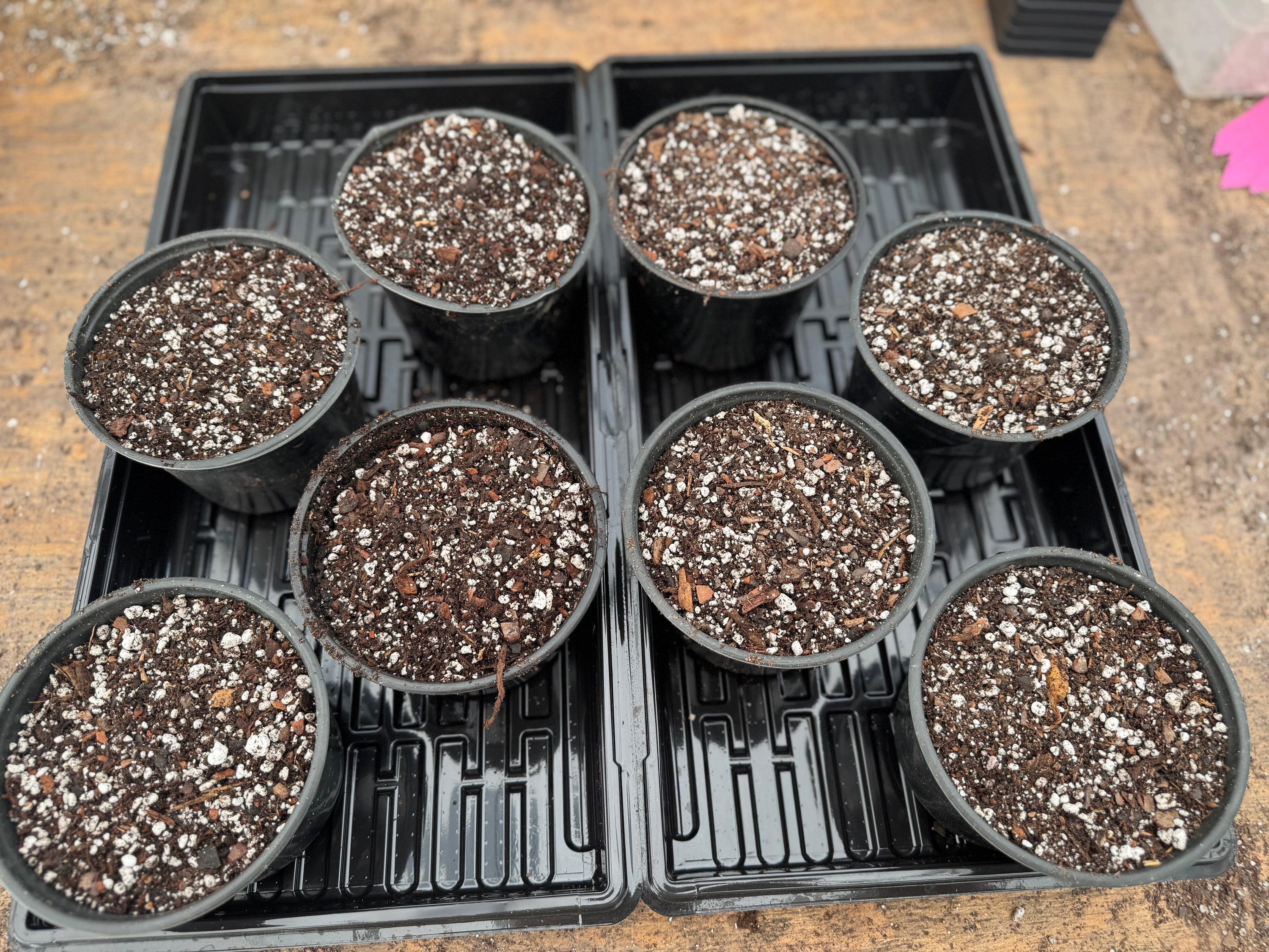 anthurium soil mix 3 gallons of Nice Plants Anthurium Seedling Soil Mix – Nice Plants Good Pots